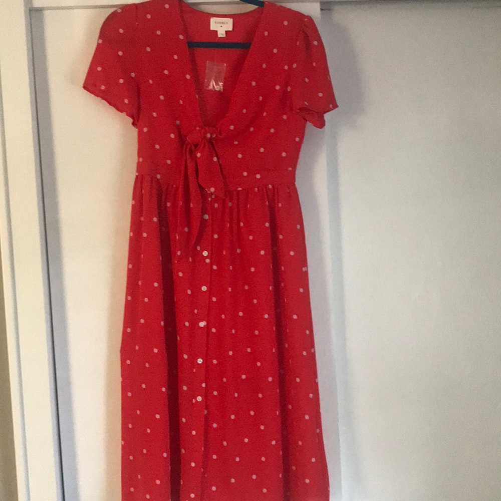 Red Polk dot dress